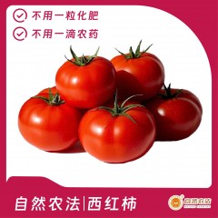 【家庭装】自然农法 | 西红柿 6斤/箱