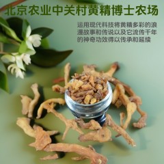 黄精人参茶