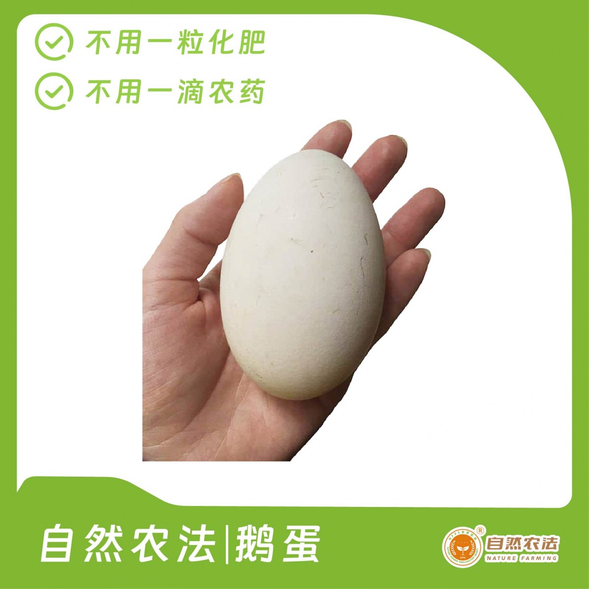 自然农法 | 鹅蛋 20枚/箱