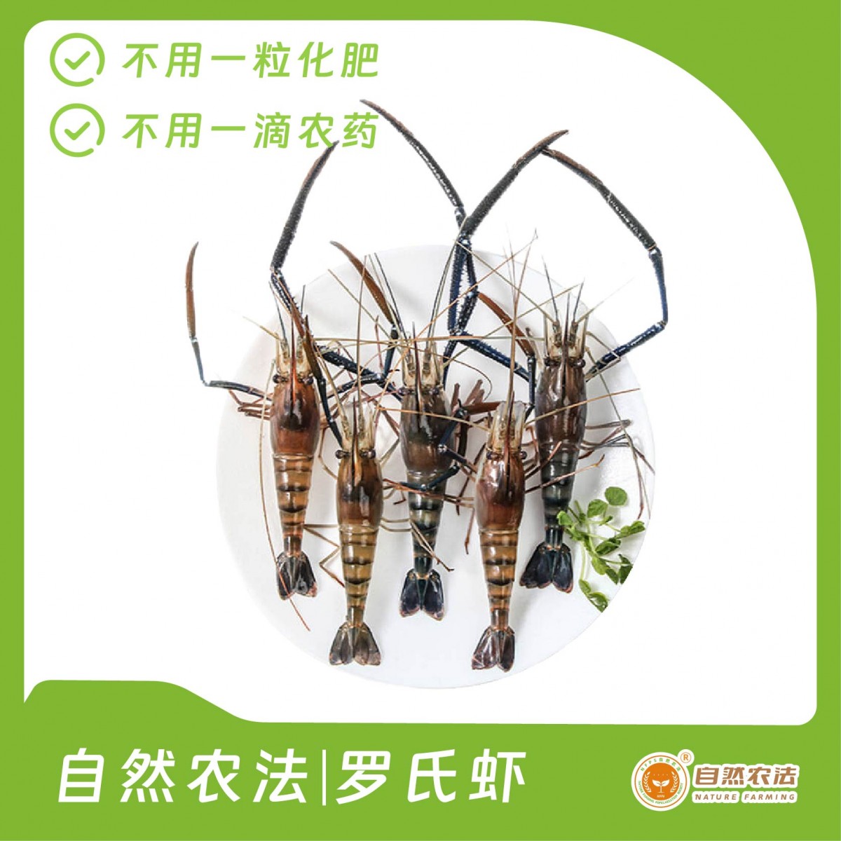自然农法 | 罗氏虾  3斤/箱