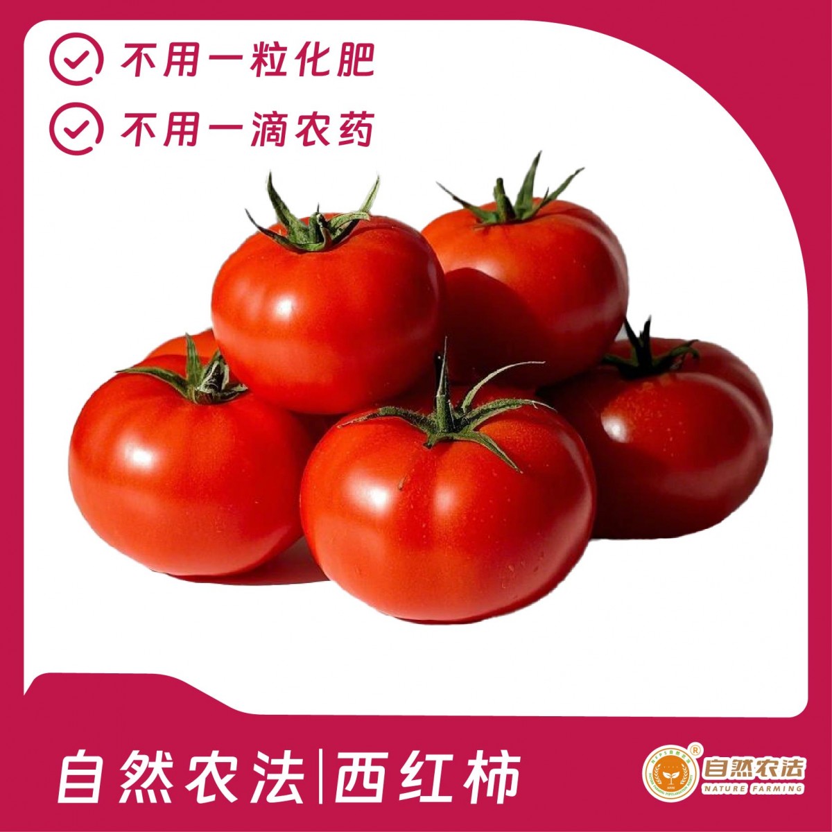自然农法 | 水果西红柿 精品礼盒装