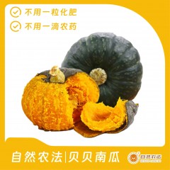 自然农法| 贝贝南瓜 9个/箱