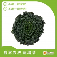 自然农法 | 乌塌菜 5斤/箱