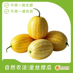 自然农法|金丝搅瓜 4个/箱