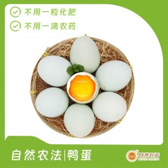 自然农法 | 鸭蛋 20枚/箱