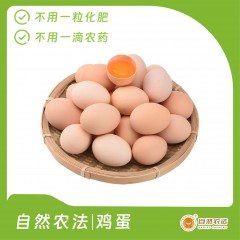 自然农法 | 鸡蛋 30枚/箱