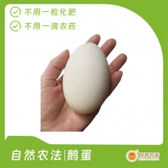 自然农法 | 鹅蛋 20枚/箱