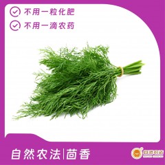 自然农法 | 茴香 5斤/箱