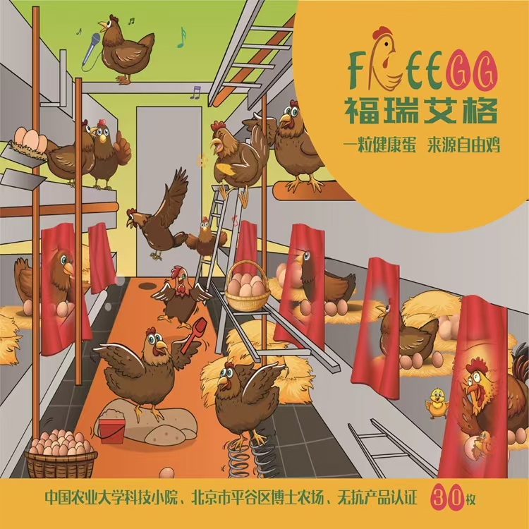 福利蛋鸡博士农场