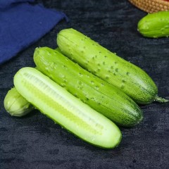 自然农法水果黄瓜 甜甜脆脆 5斤起售 15元/斤，掰断了可以粘上的黄瓜你见吃过吗？