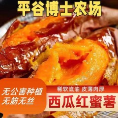 西瓜红蜜薯 5斤装