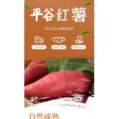 西瓜红蜜薯 5斤装