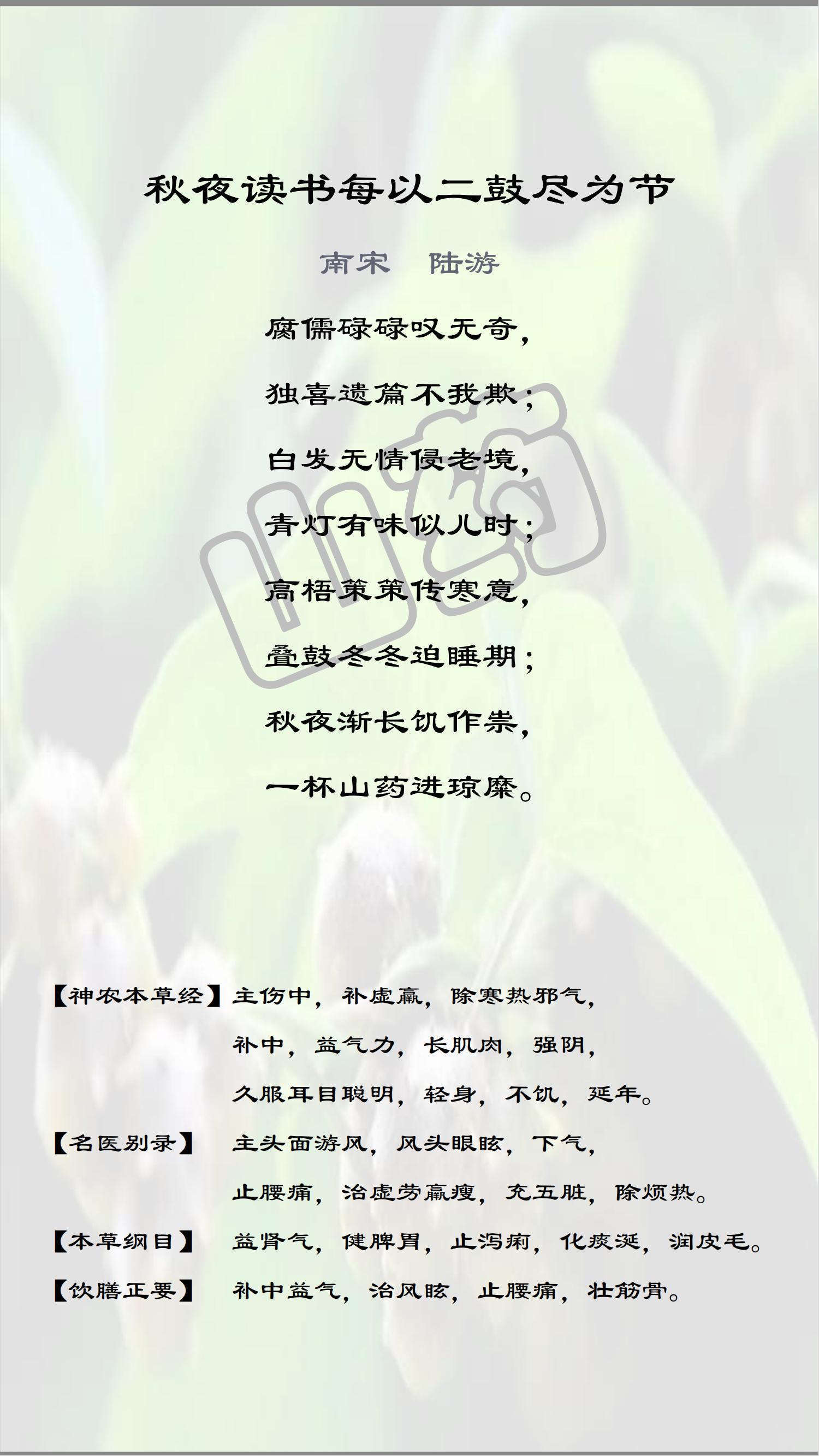 十味中药——嘉年华文案_山药.jpg