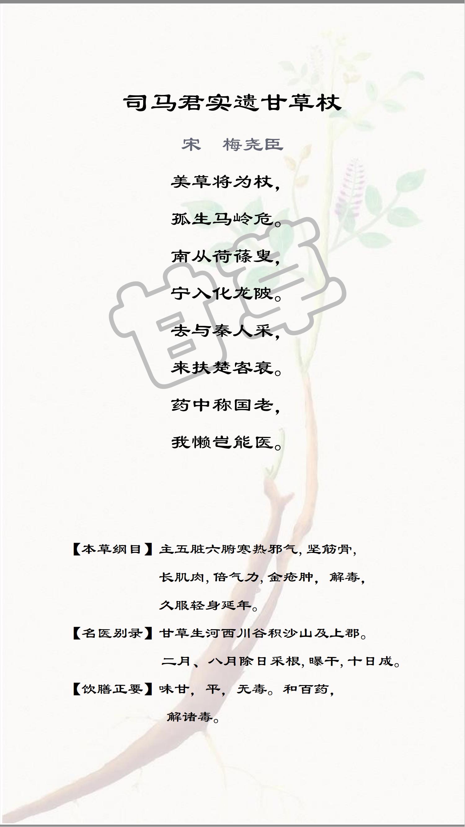 十味中药——嘉年华文案_甘草.jpg