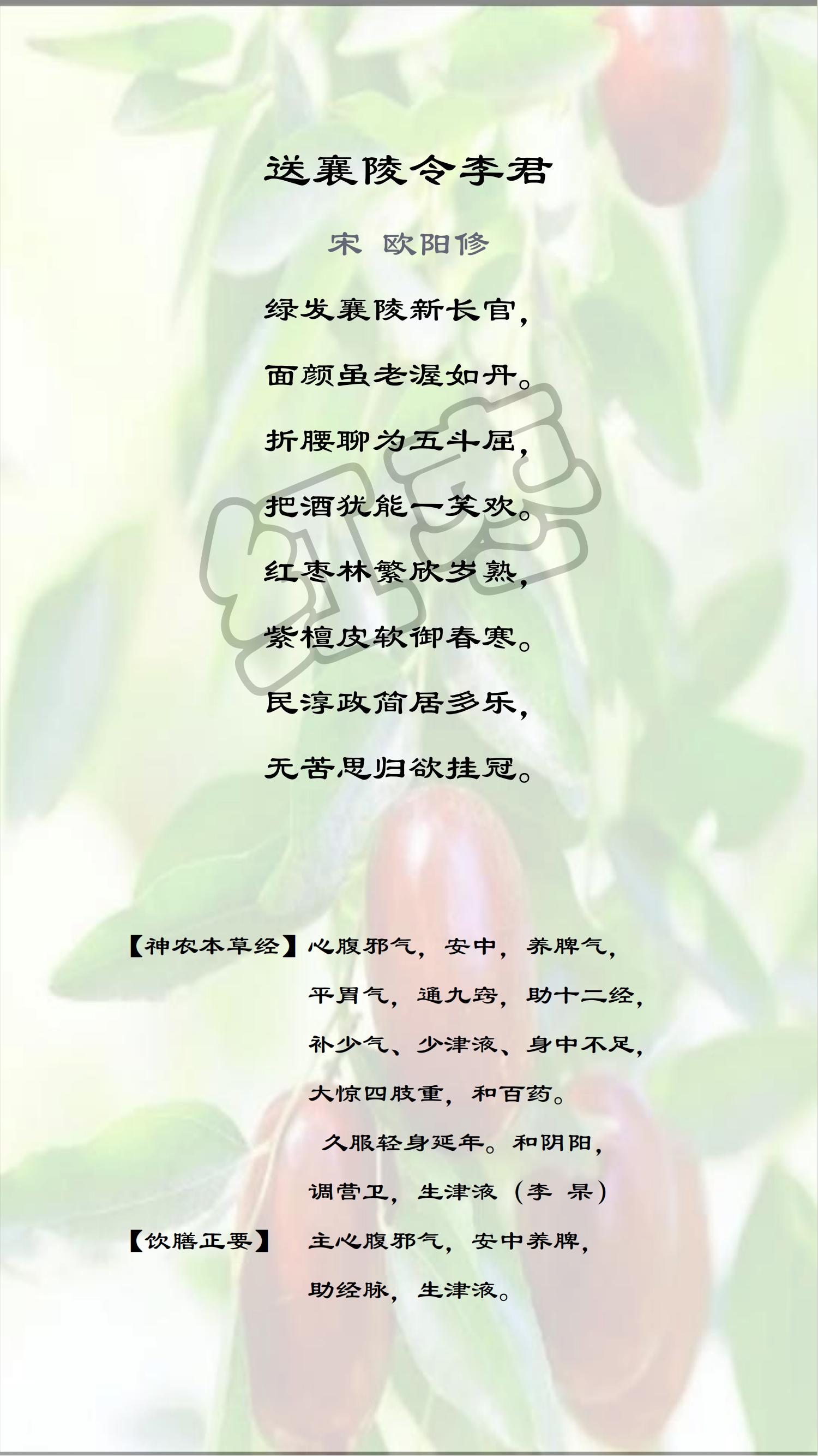 十味中药——嘉年华文案_红枣.jpg