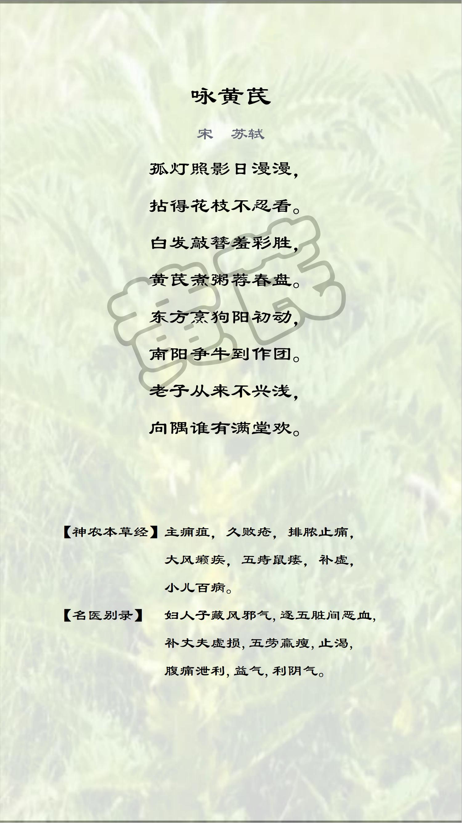 十味中药——嘉年华文案_黄芪.jpg