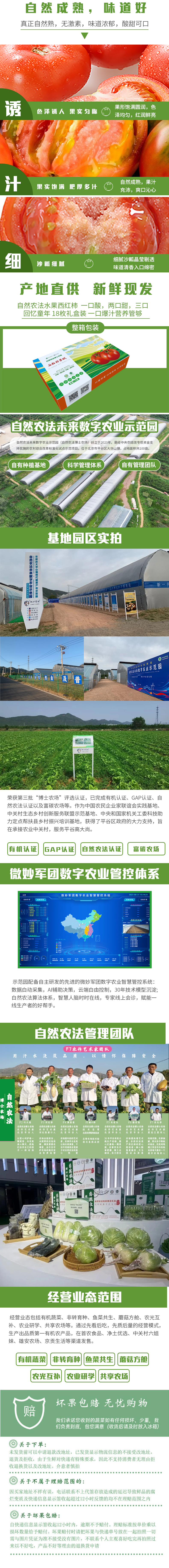 西红柿02.jpg