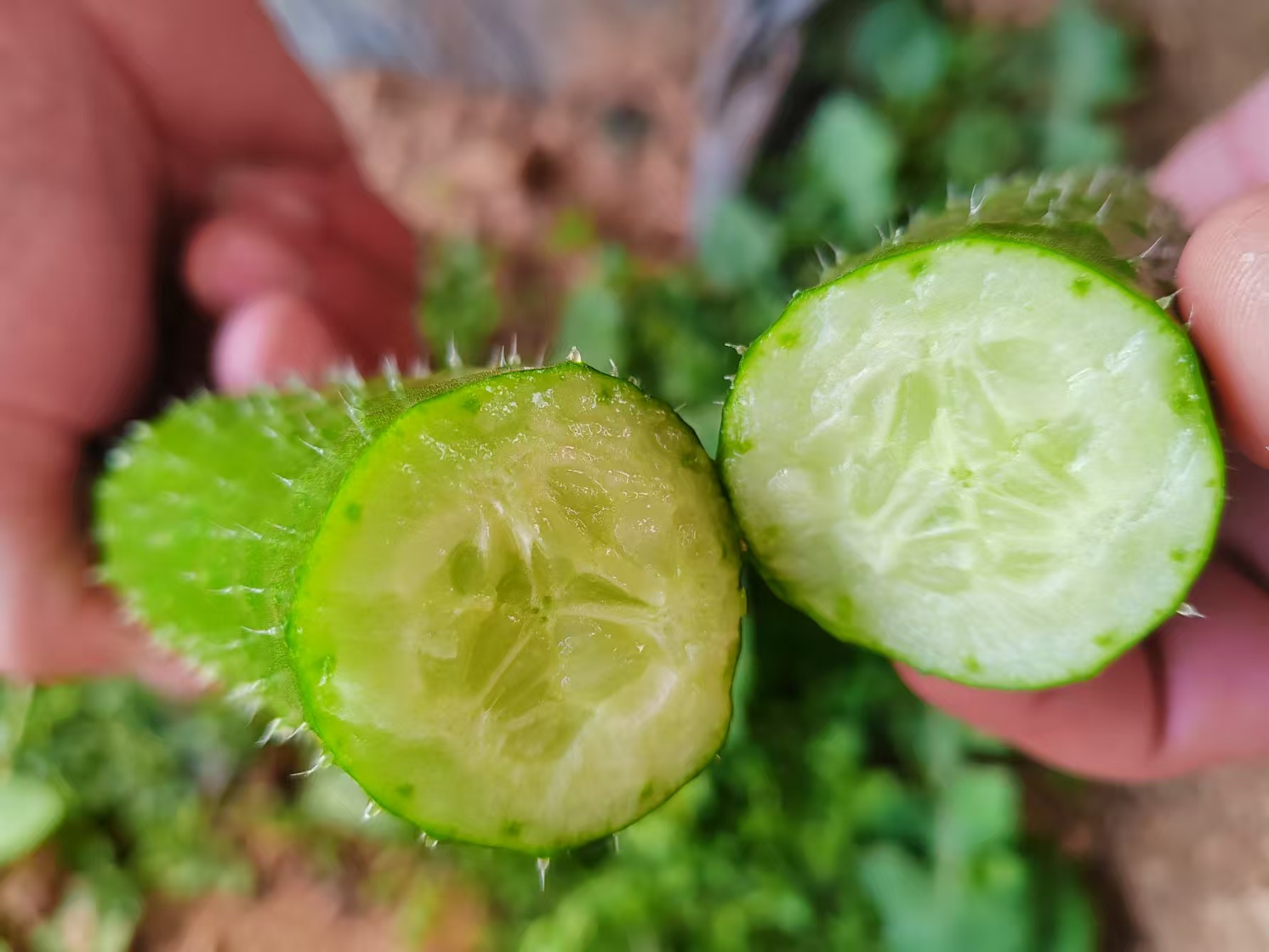 幻灯片6.jpg