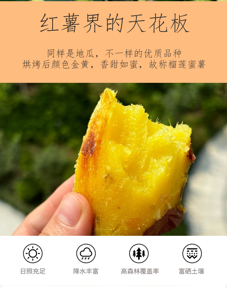 详情_02.jpg